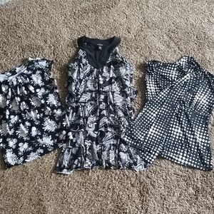 White House Black Market/Ann Taylor/Maurices Lot!